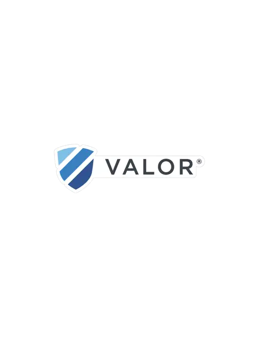 Valor Medium Decal (5.5"w)