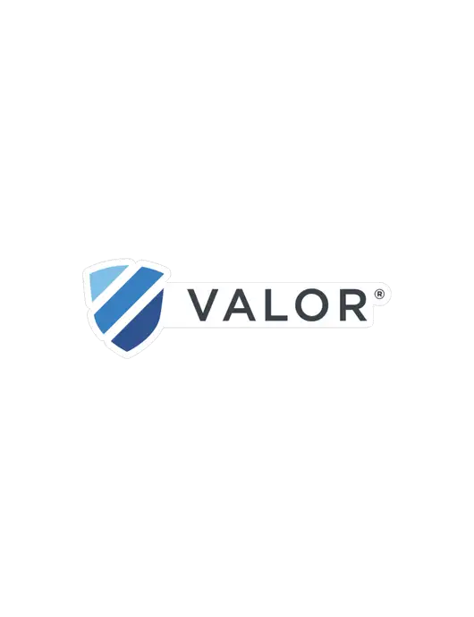 Valor Medium Large Decal (6.75"w)