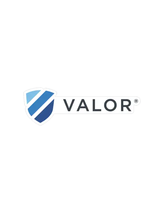 Valor Large Decal (8.5"w)