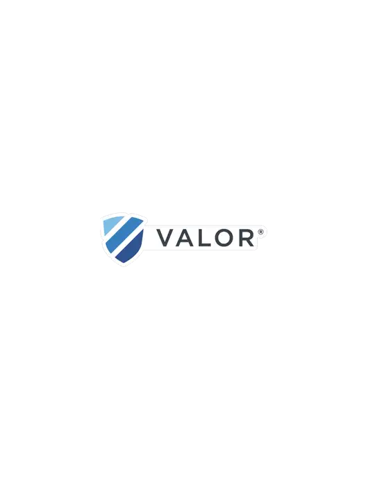 Valor Small Decal (4.5"w)